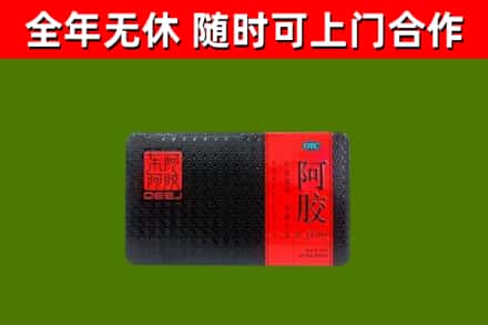 和静回收阿胶