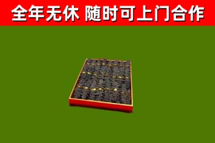 和静回收海参